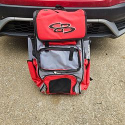 Softball bag