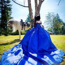 Royal blue gown