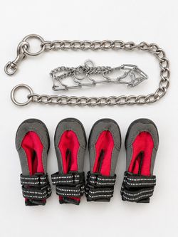 Brand New Dog Boots Size M + Training Collar and Chain