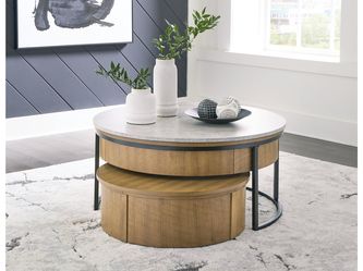 Fridley Nesting Lift Top Coffee Table & Storage Trunk (Set of 2)