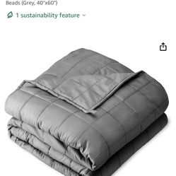 10 Pound Weighted Blanket 