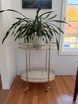 Bar Cart/Plant Stand