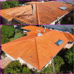 Pressure Clean / Soft Wash