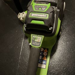 Green works 16 Brushless Chainsaw