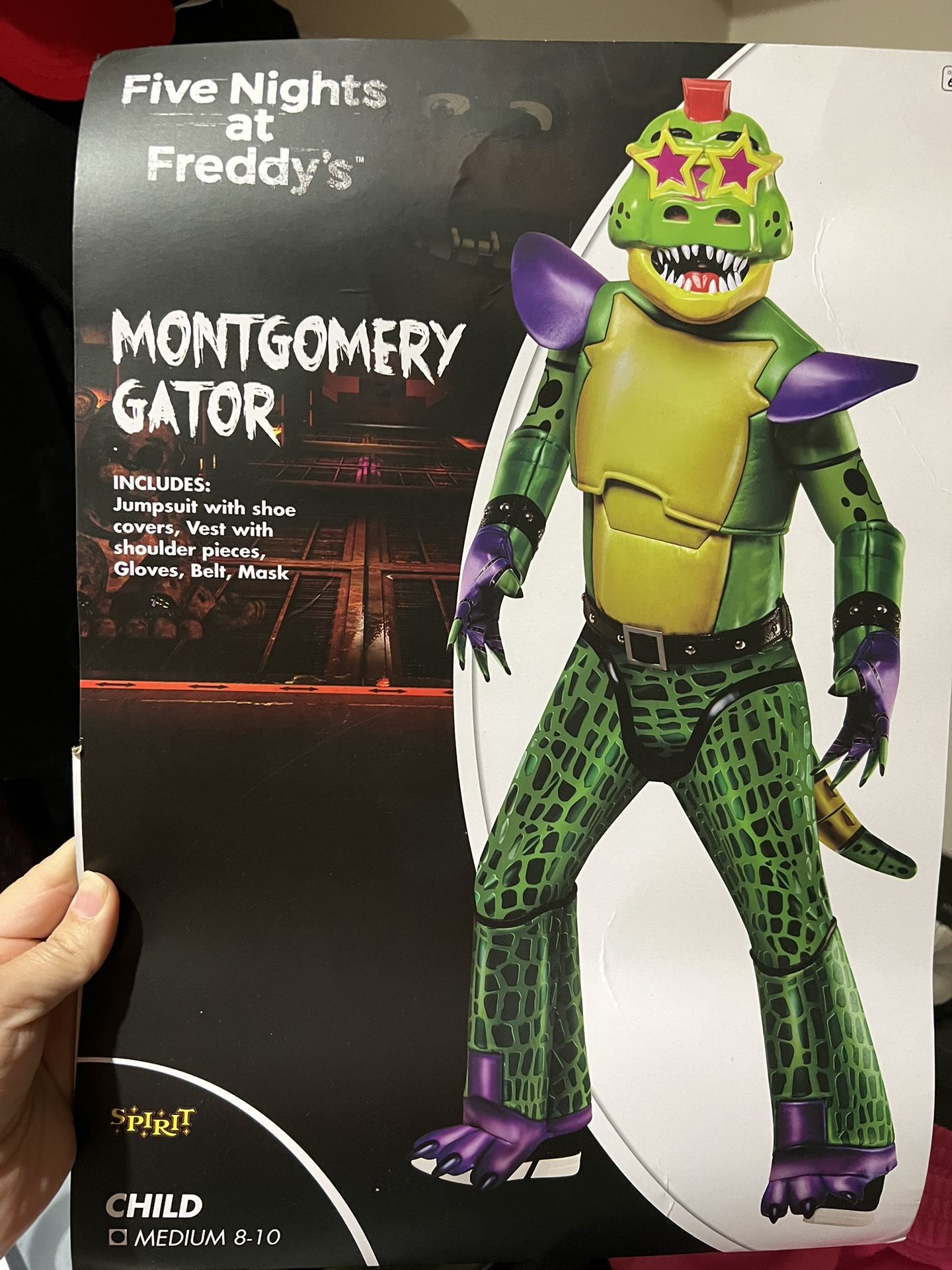 montgomery gator