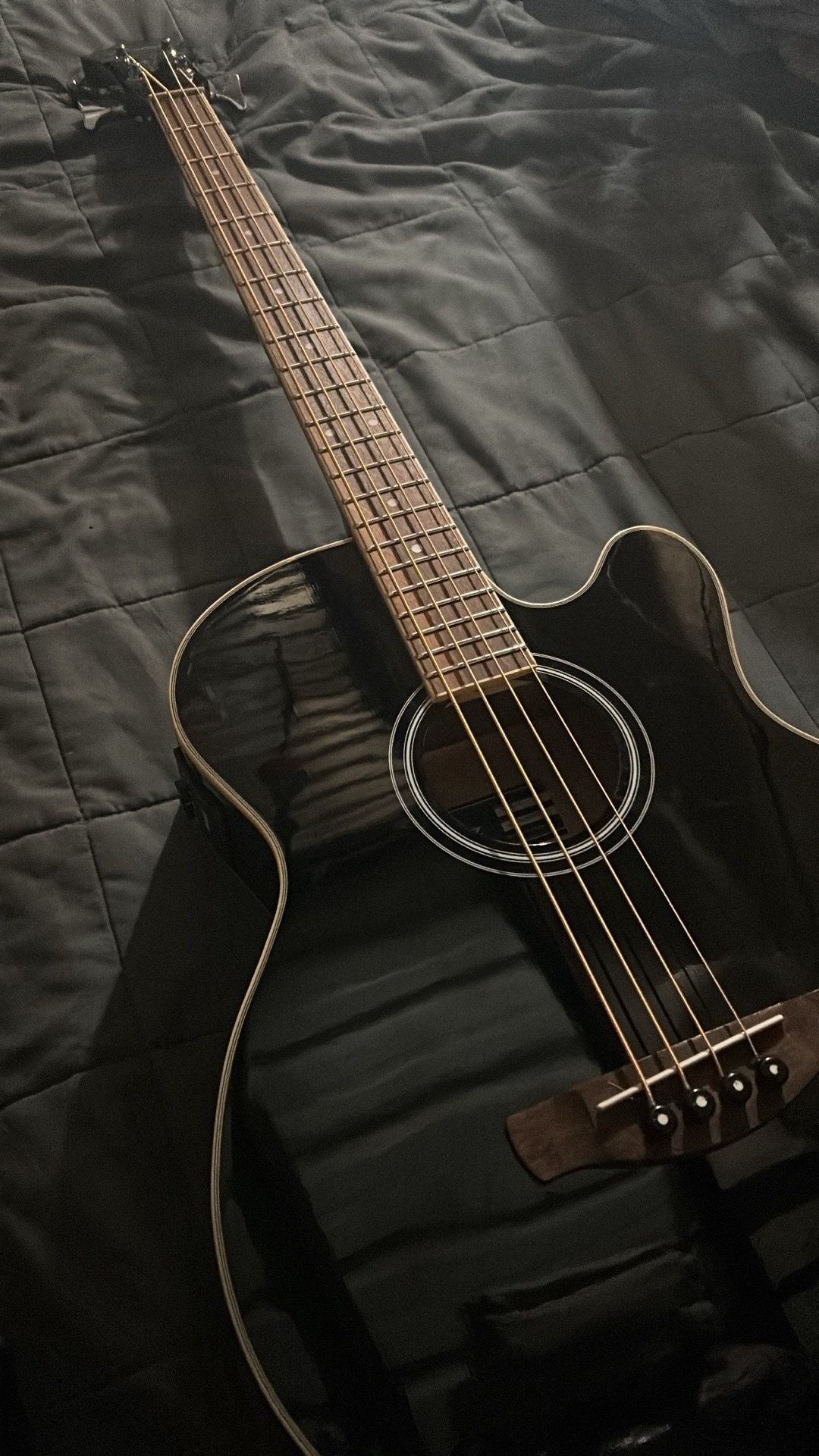 Ibanez electric-acoustic bass