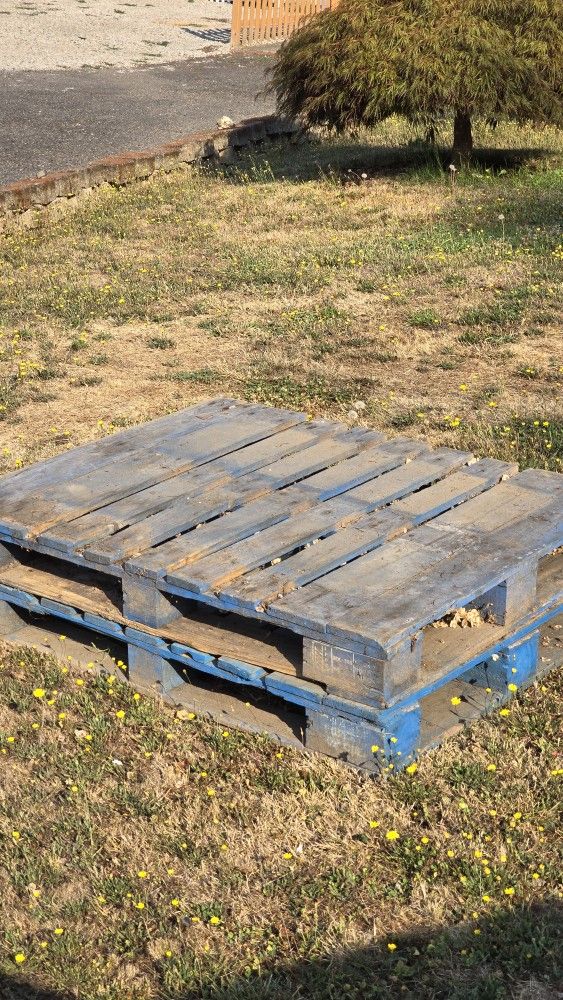 Wood Pallets 