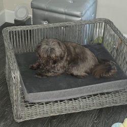2 Wicker Dog Beds, Dog Is Just modeling