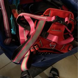 Dog Harness,leash And Collars