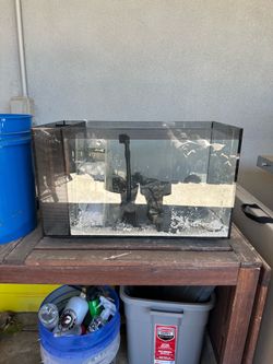 fish tank