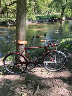 Cafe Cruiser 3 Speed Bicycle