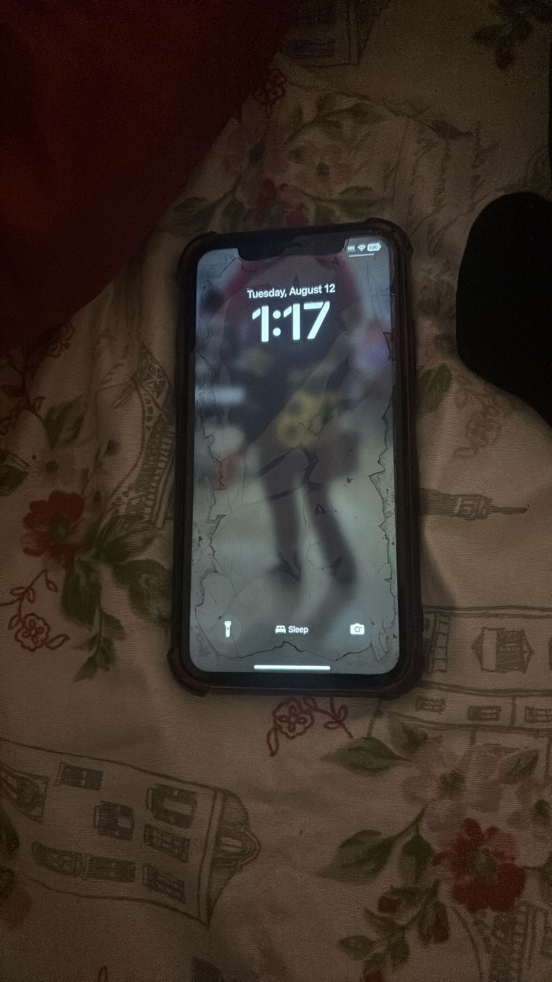 iPhone 11 (unlocked)