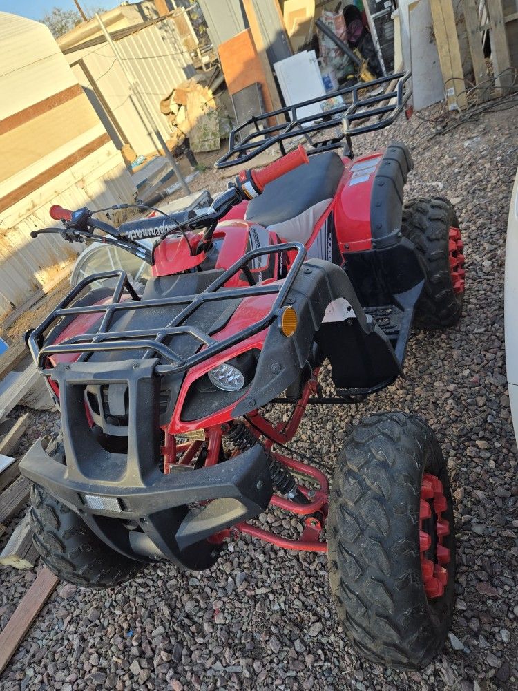 2024 Tao Tao rhino Rhino 250cc