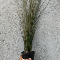 IKEA Fake Plants And Base