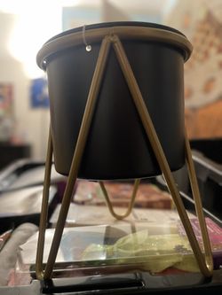 Plant Pot 