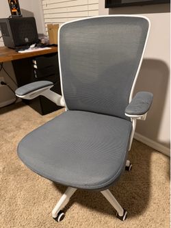 Mesh Back Office Chair