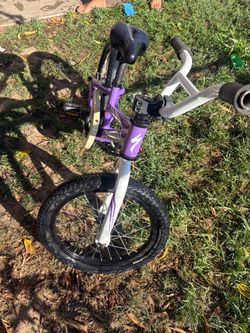 Purple speciality bike