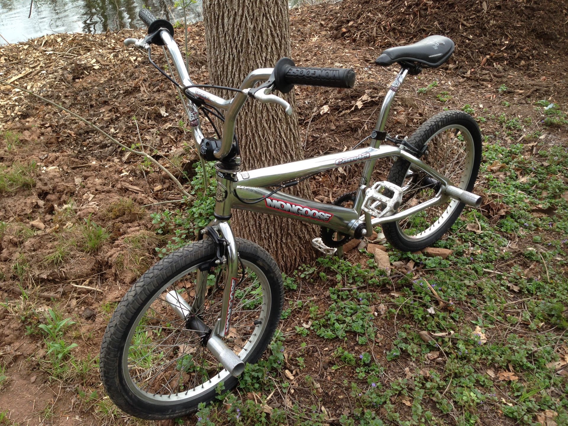 mongoose convict bike