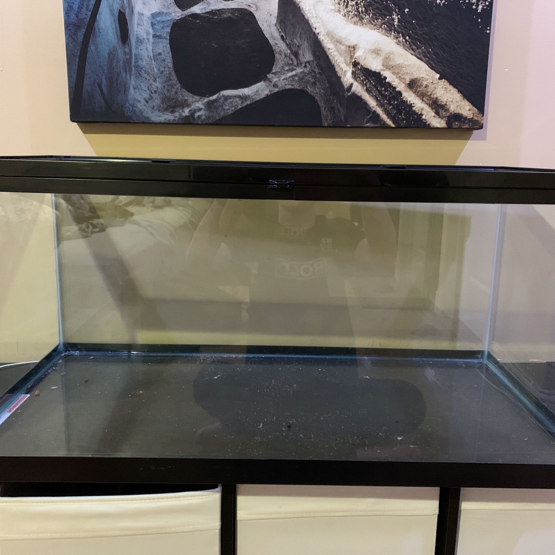 reptile tank 20 gallon