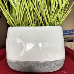 Grass Plant with White & Concrete Planter