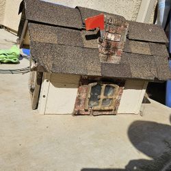 Old Mail Box Use It For Birds .