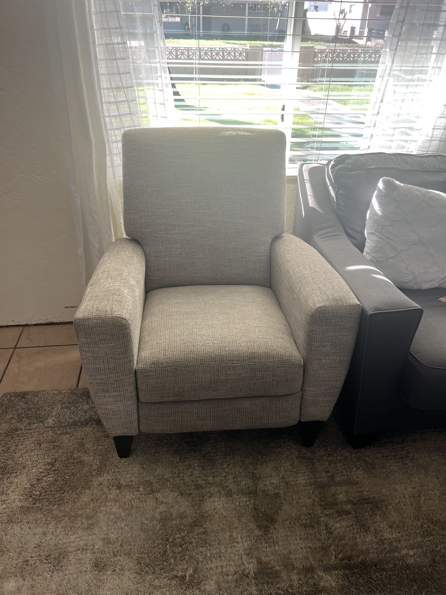 Loveseat Recliner 