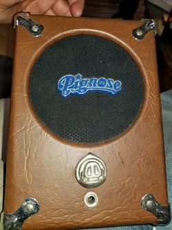 Pignose speaker