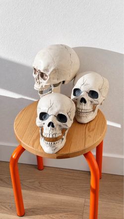 Assorted Decorative Skeleton Skulls for Halloween Party