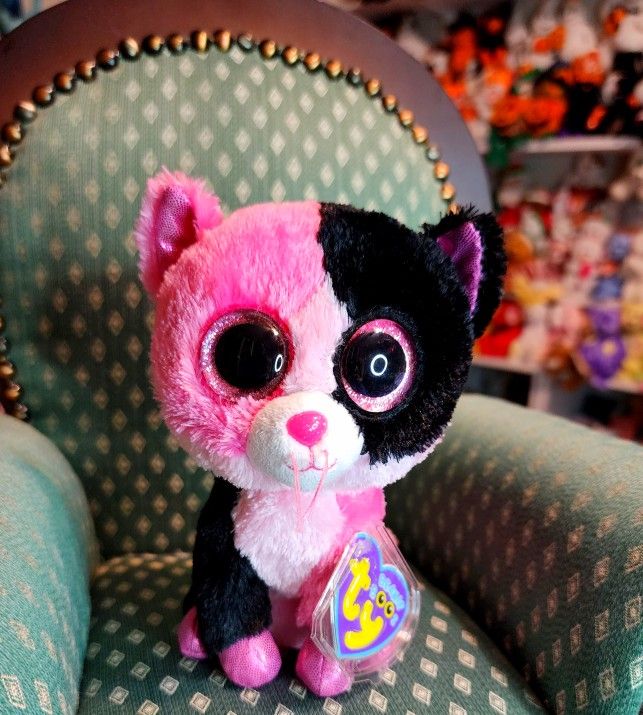 Ty Beanie Boo 6 DAZZLE the Adorable Kitty Cat Justice Exclusive 3rd Generation MINT CONDITION for Sale in Radcliff KY OfferUp