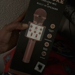 Karaoke Mic 