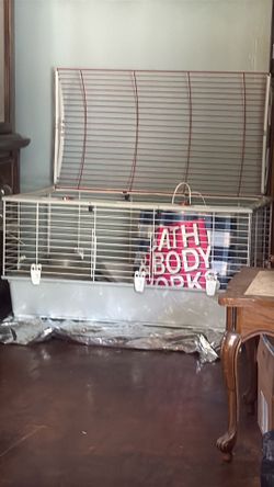 Guinea pig cages