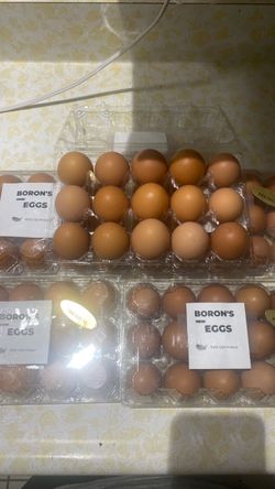 Brown eggs