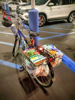 Trek 7300, Including Folding Grocery Basket  & Pump