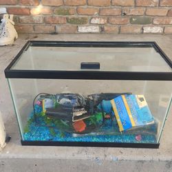 10 Gallon Aquarium 