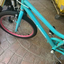 GUARDIAN Kids Bike 20”