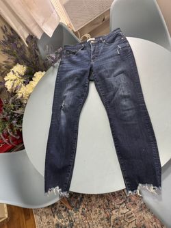 Ann Taylor Loft Skinny Jeans Size 29 Or 8