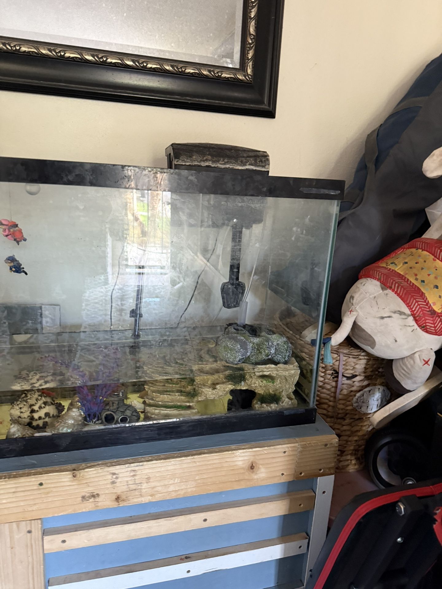 Fish Tank 