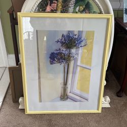 16x20 picture of flowers