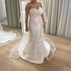 Pronovias Dafne Wedding Dress 