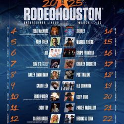 Houston Rodeo Action Seats 