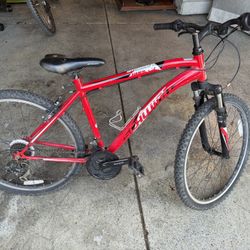 Schwinn Mountain Bike