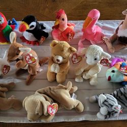 Various TY Beanie Babies Collection
