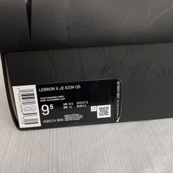 Nike Lebron X JE icon Qs 