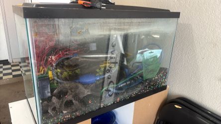 Aquarium