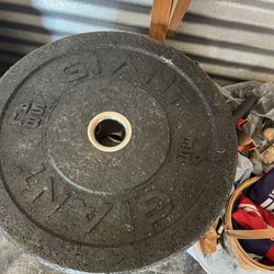 Giant CrossFit Weight Plates, Bar, Bench 