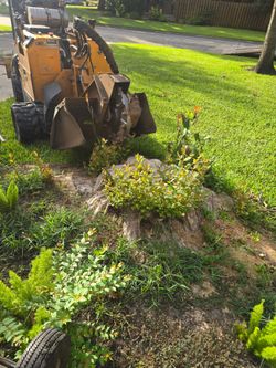 Stunp 🪵grinder free estimate ☎️🪵se granean troncos