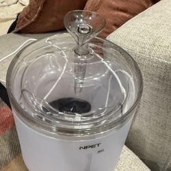 Small Pet Water Found For Cats Or Kitten 