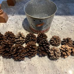 Craft Pine cones In Tin Bucket