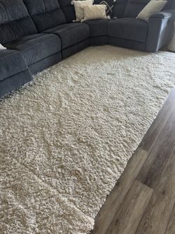 Area Rug