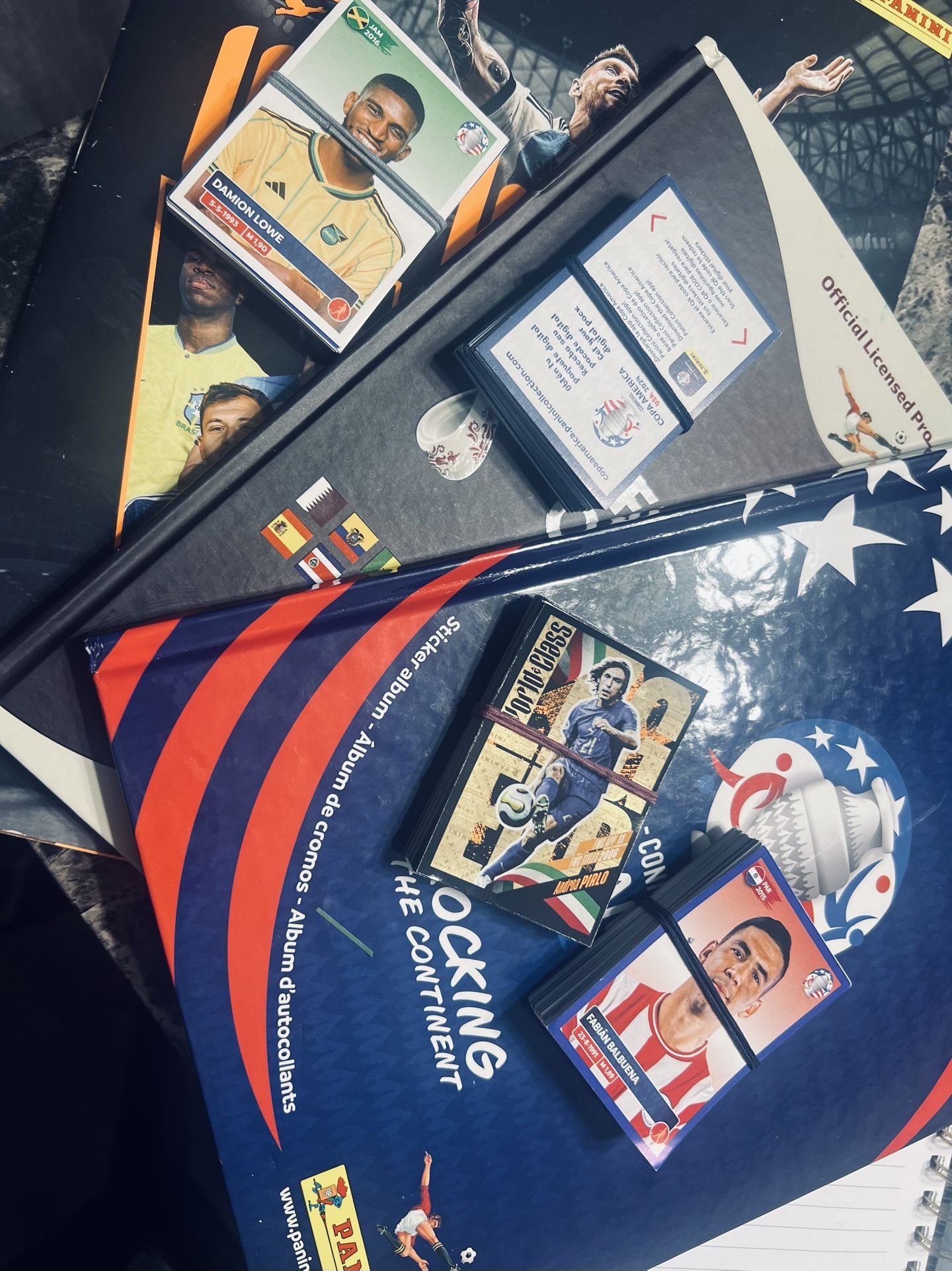 Álbum Copa América 2024